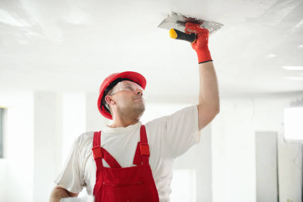 Best Fire-Damaged Drywall Repair  in Monroe Manor, NJ